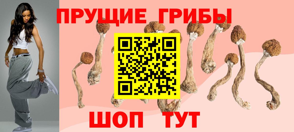 Галлюциногенные грибы мухоморы Кызыл